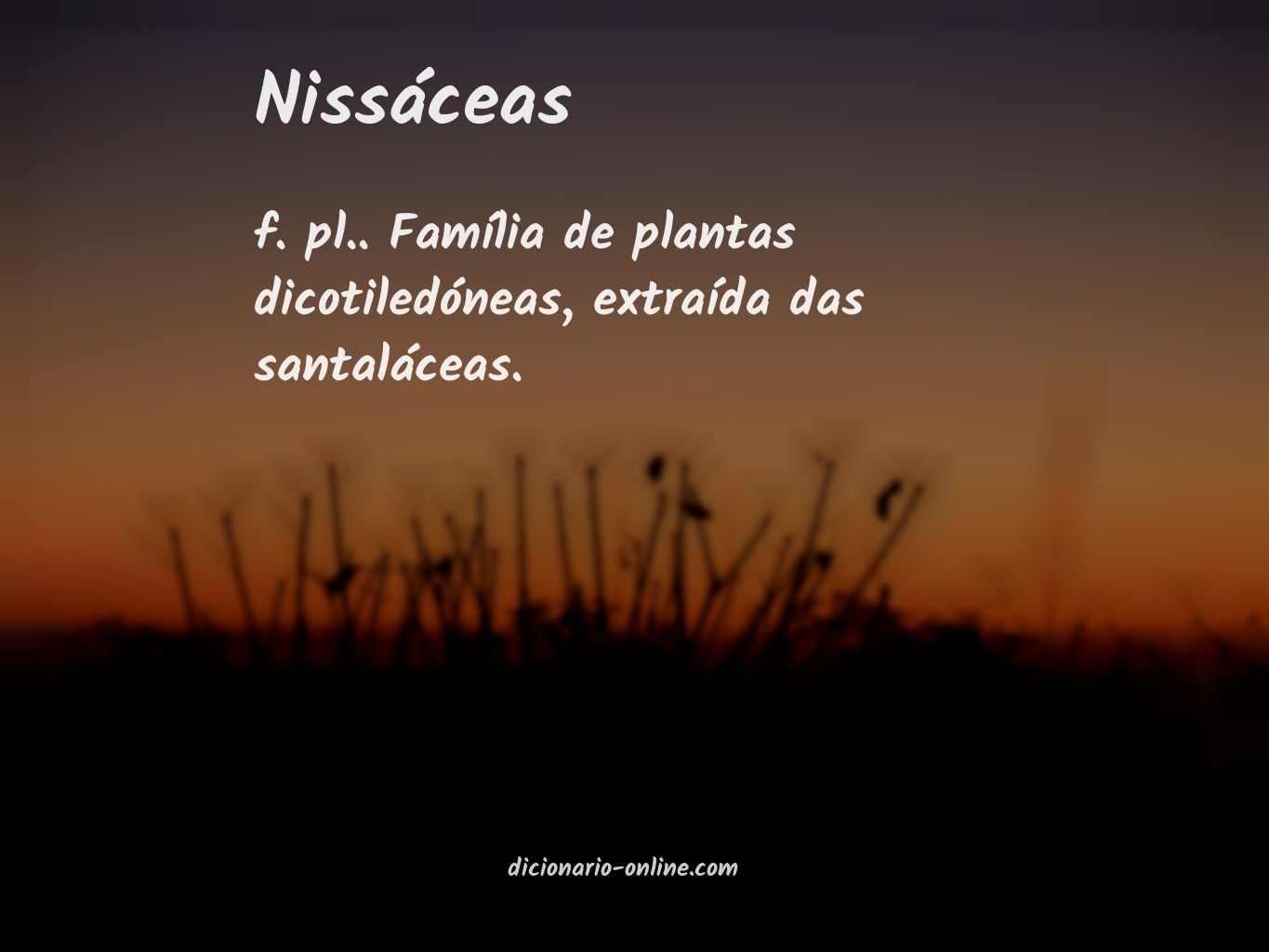 Significado de nissáceas