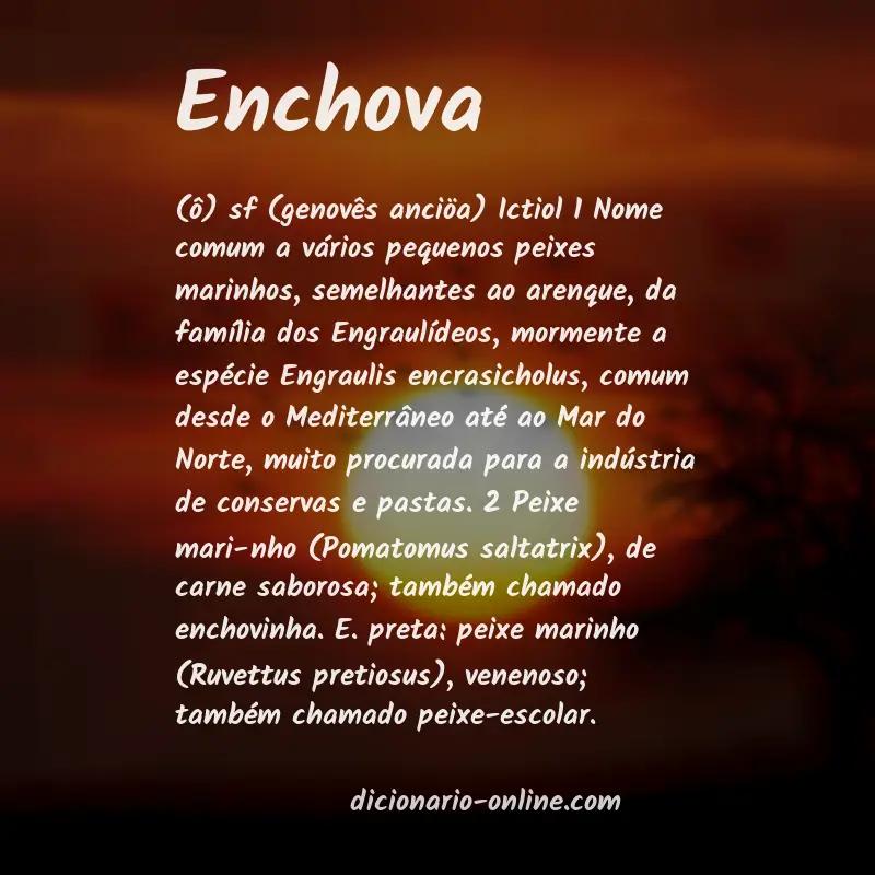 Significado de enchova