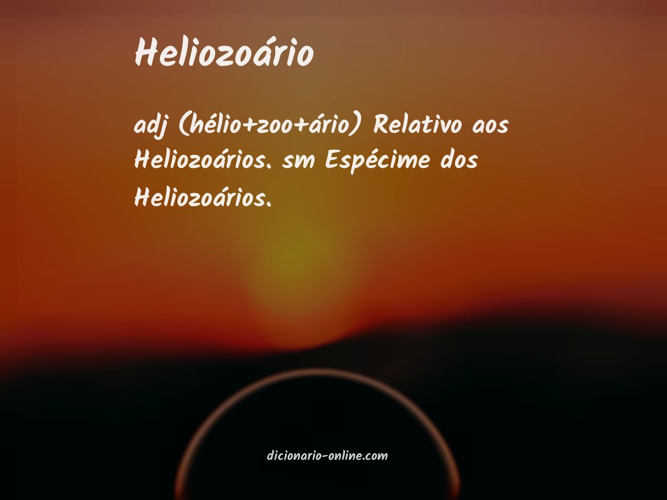 Significado de heliozoário