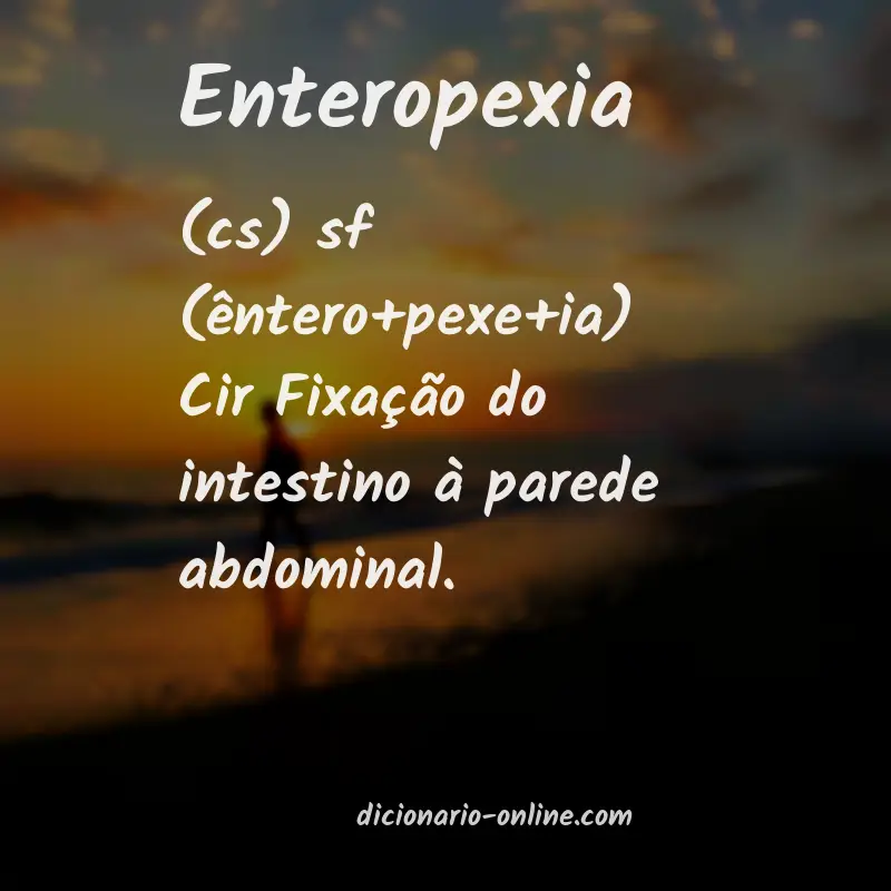 Significado de enteropexia