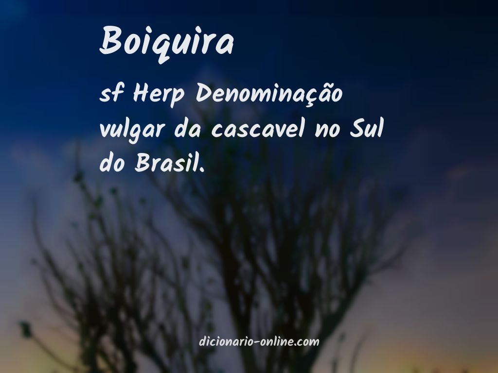 Significado de boiquira