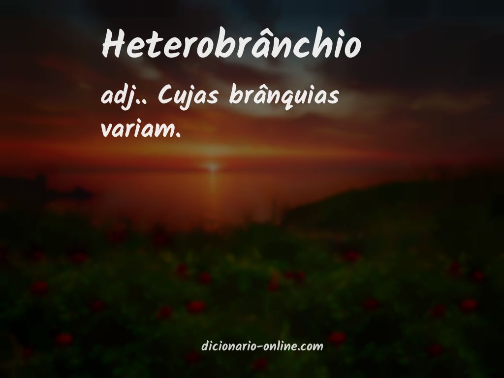 Significado de heterobrânchio