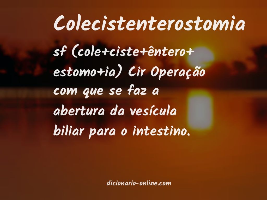 Significado de colecistenterostomia