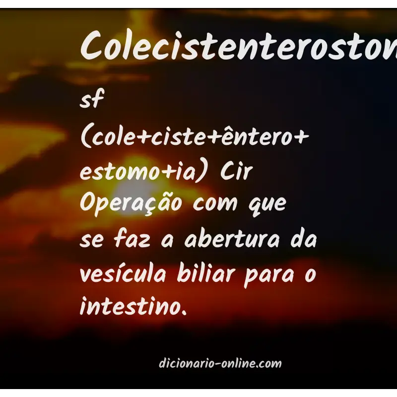 Significado de colecistenterostomia