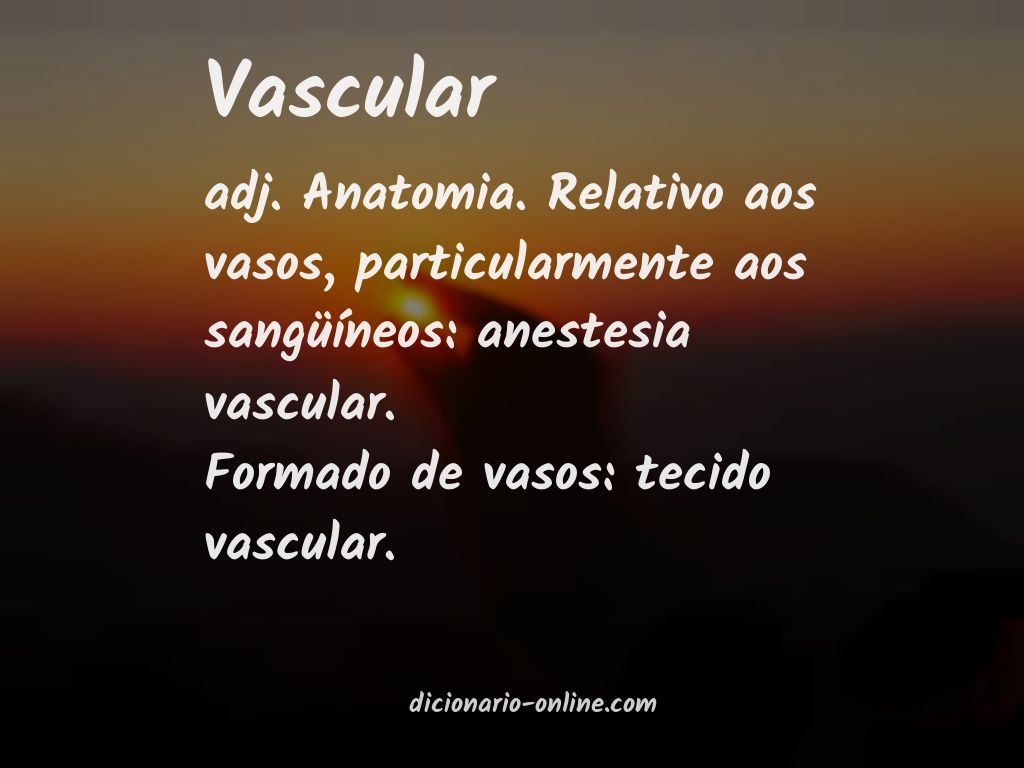 Significado de vascular