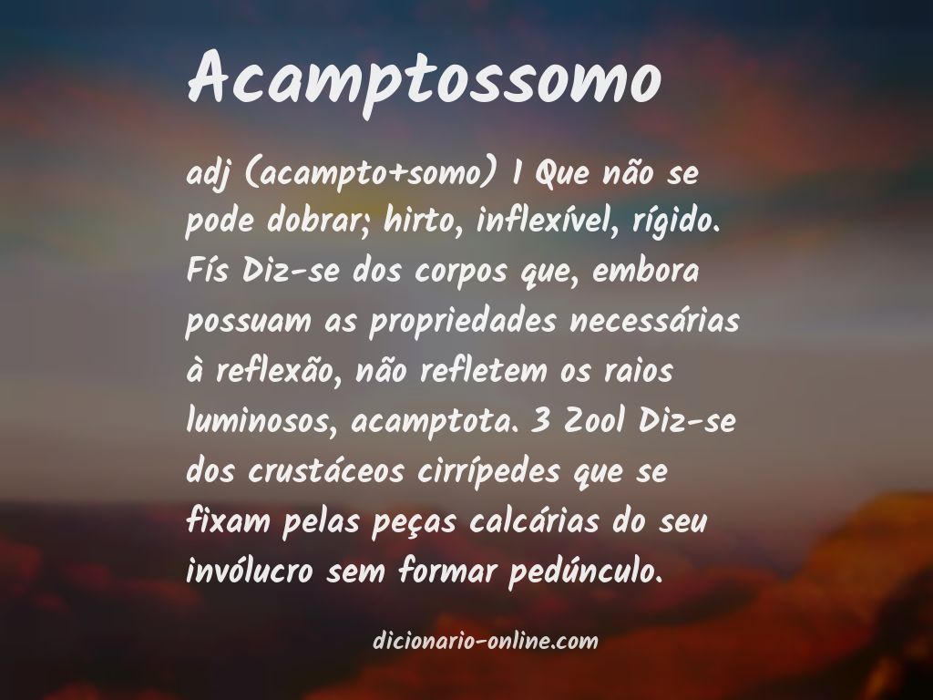 Significado de acamptossomo