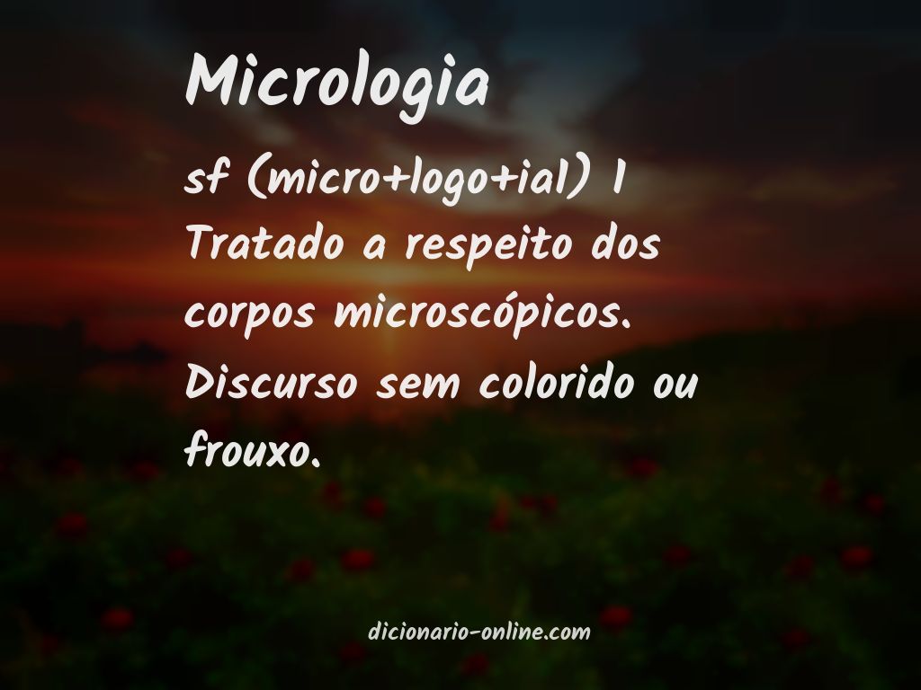 Significado de micrologia