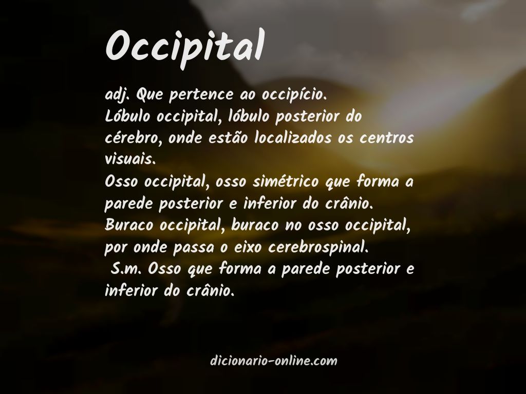 Significado de occipital