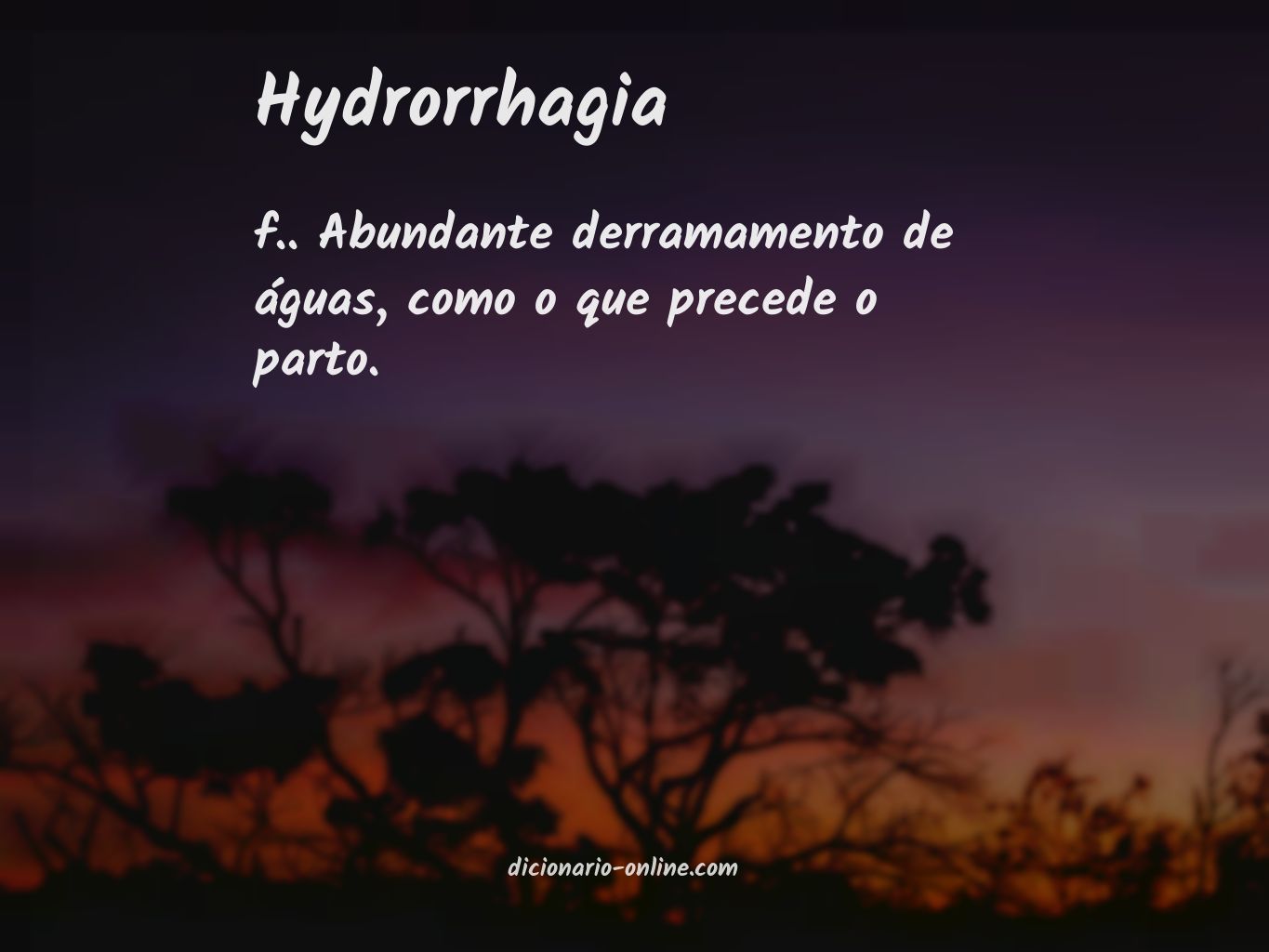 Significado de hydrorrhagia