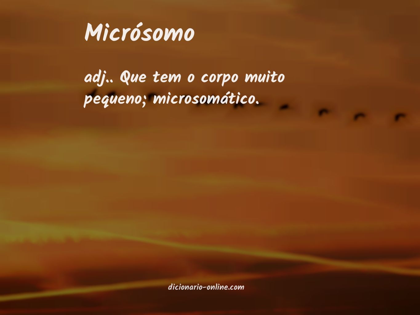 Significado de micrósomo