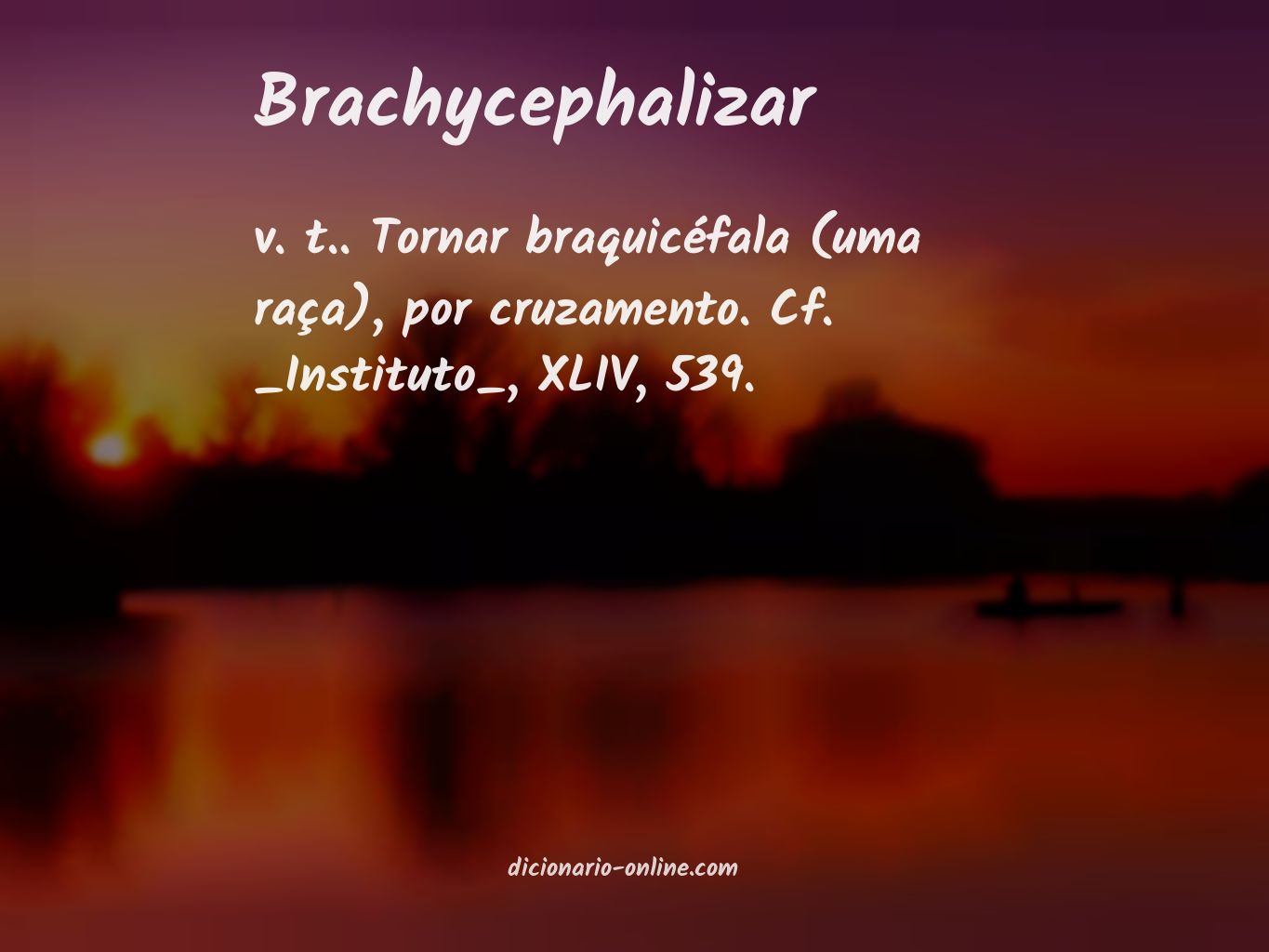 Significado de brachycephalizar