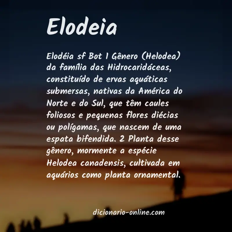 Significado de elodeia