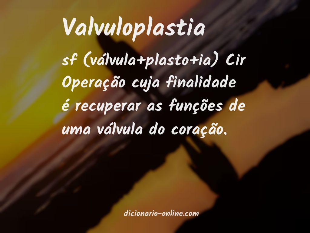 Significado de valvuloplastia