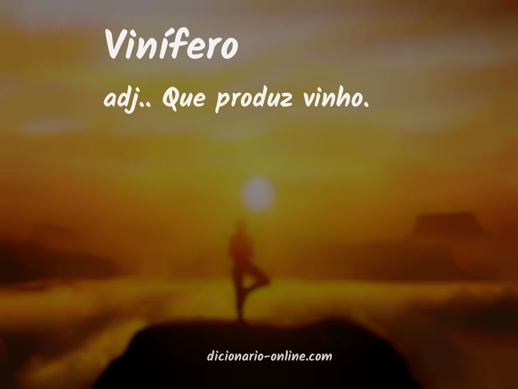 Significado de vinífero