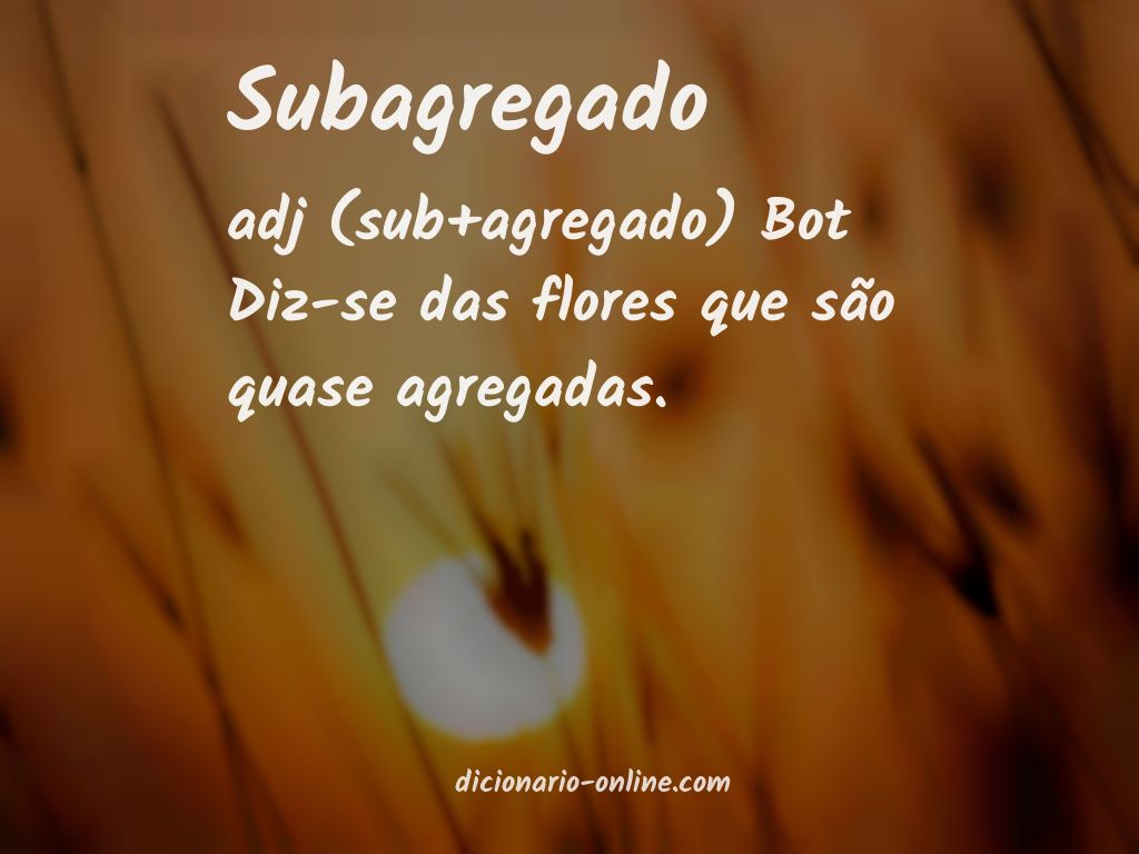 Significado de subagregado