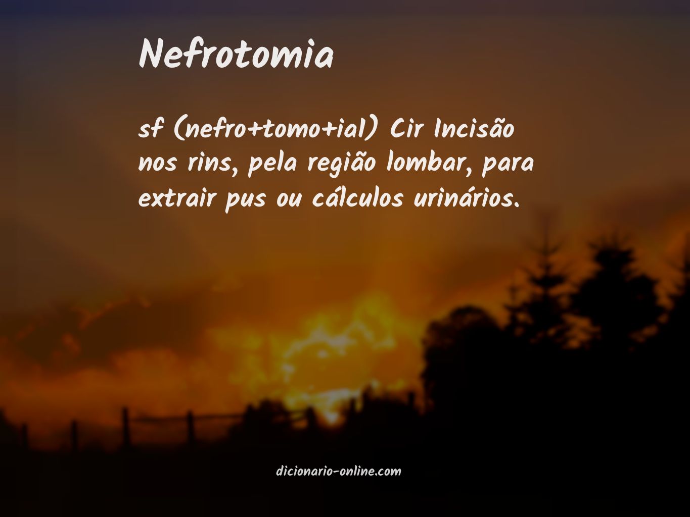 Significado de nefrotomia