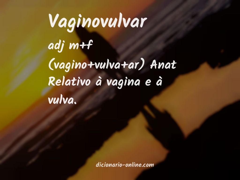 Significado de vaginovulvar