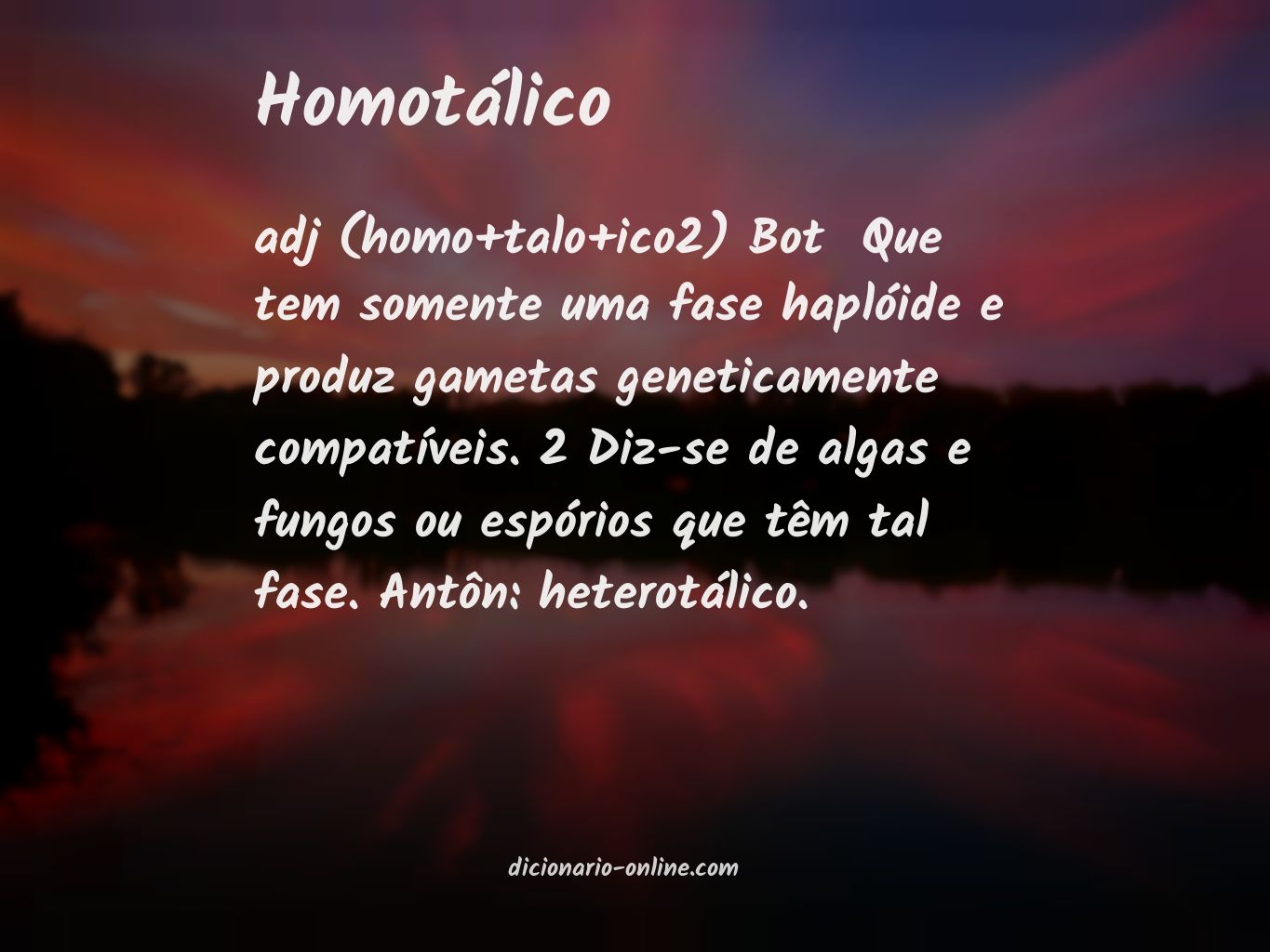 Significado de homotálico