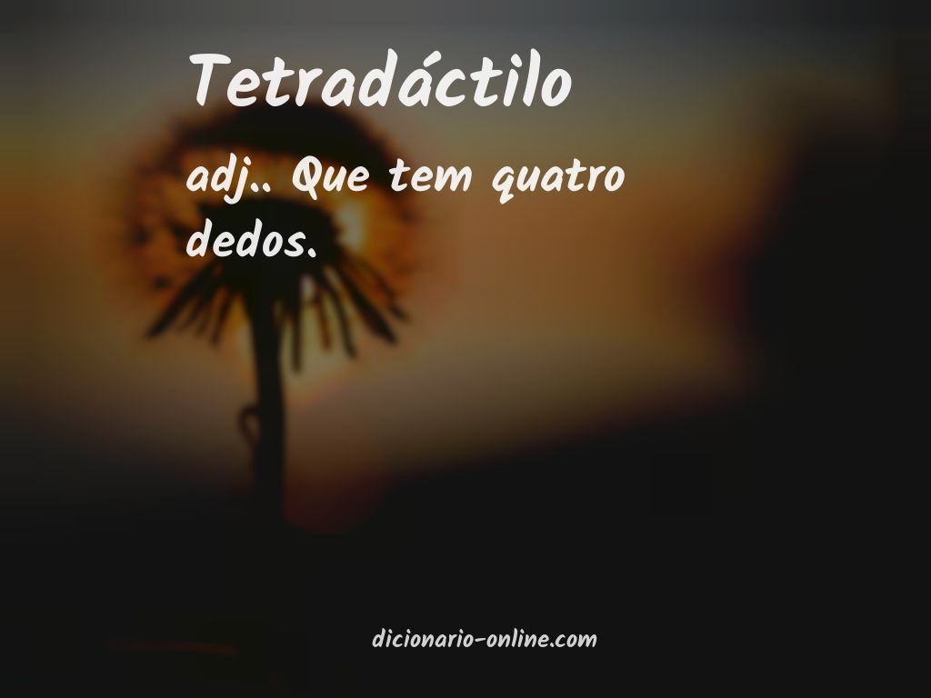 Significado de tetradáctilo