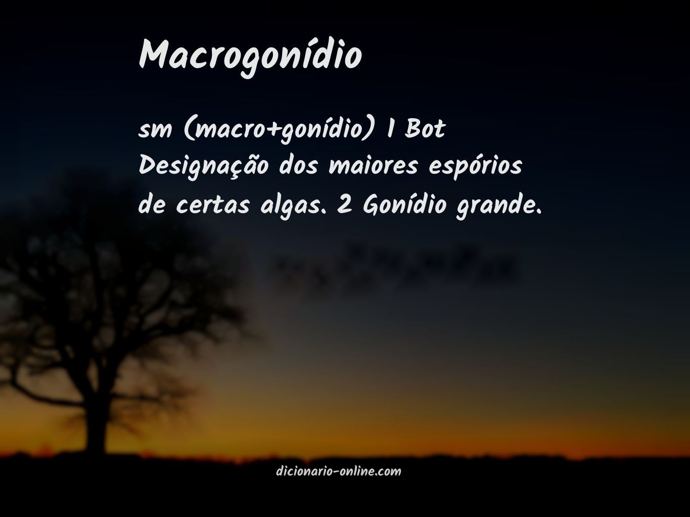 Significado de macrogonídio