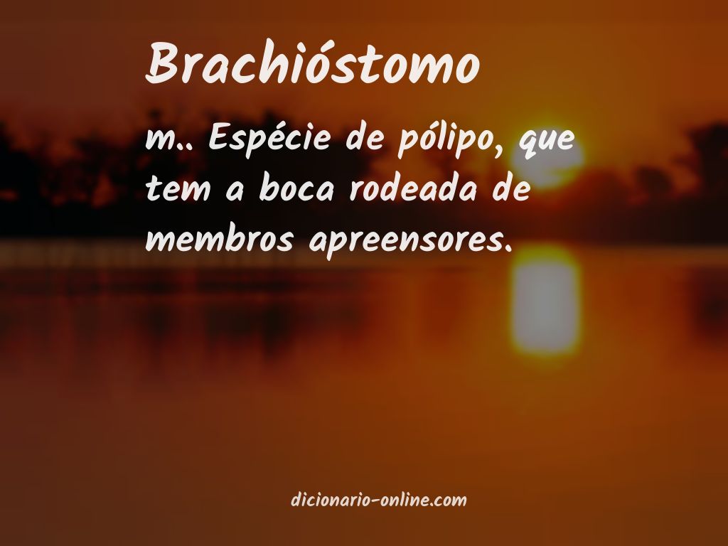 Significado de brachióstomo