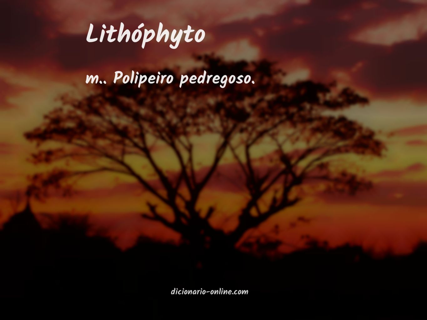 Significado de lithóphyto