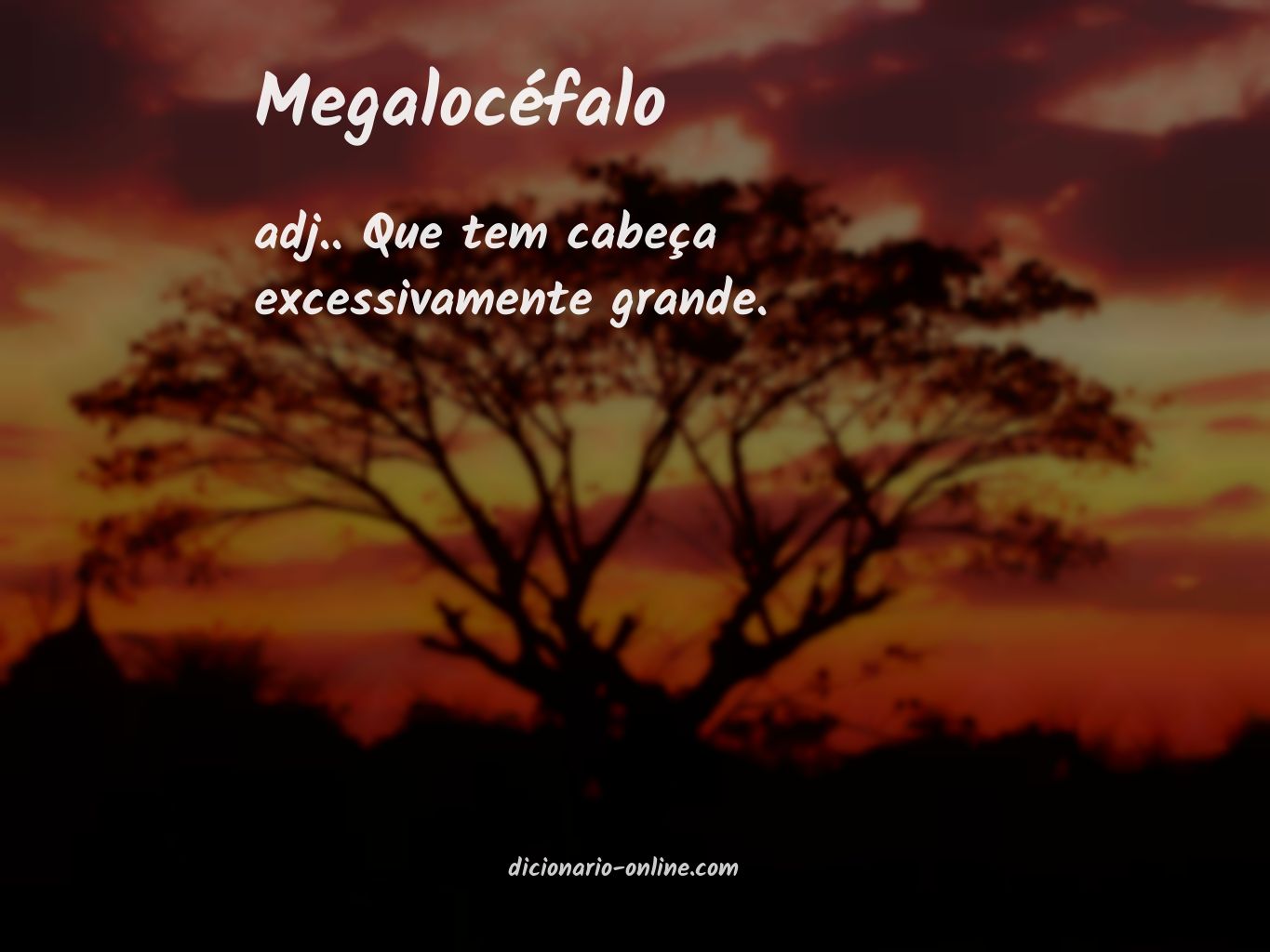 Significado de megalocéfalo