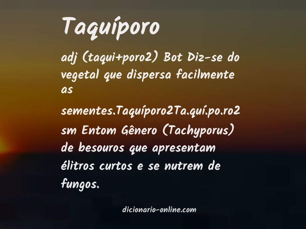 Significado de taquíporo