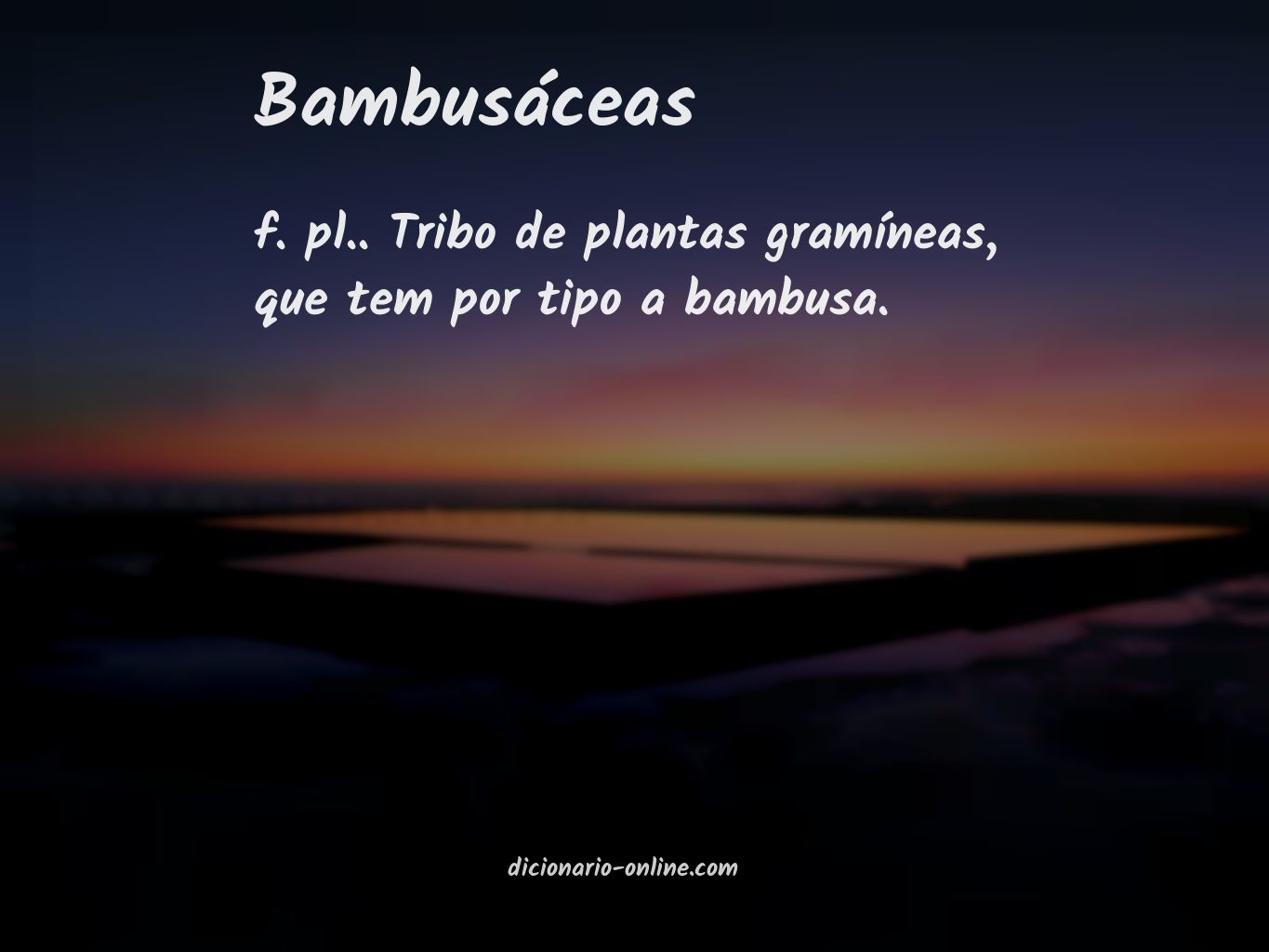 Significado de bambusáceas