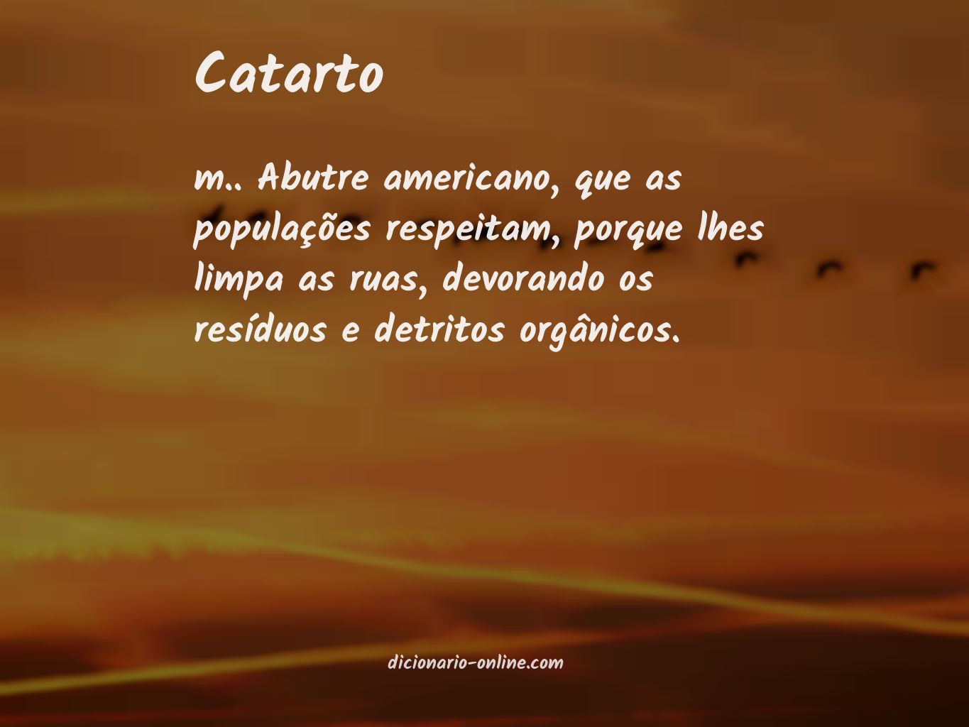 Significado de catarto