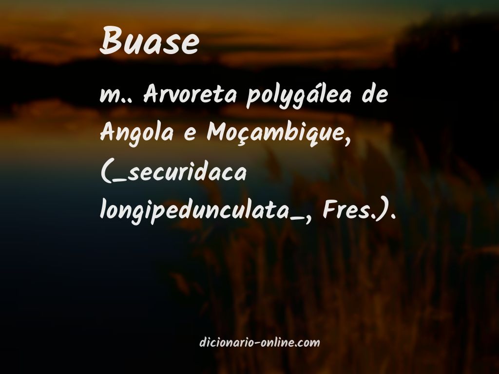 Significado de buase