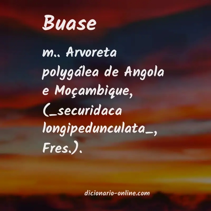 Significado de buase