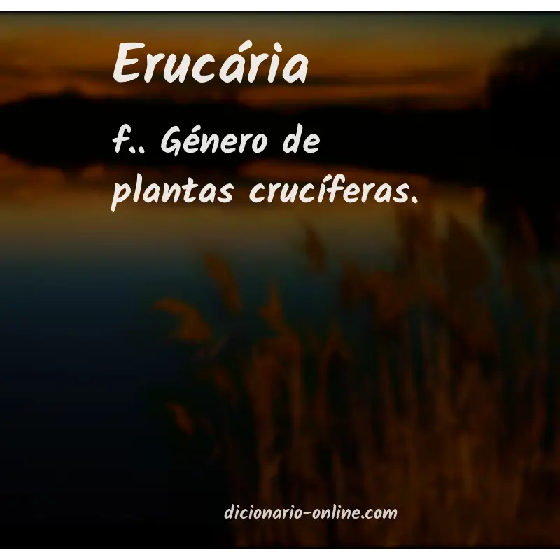 Significado de erucária