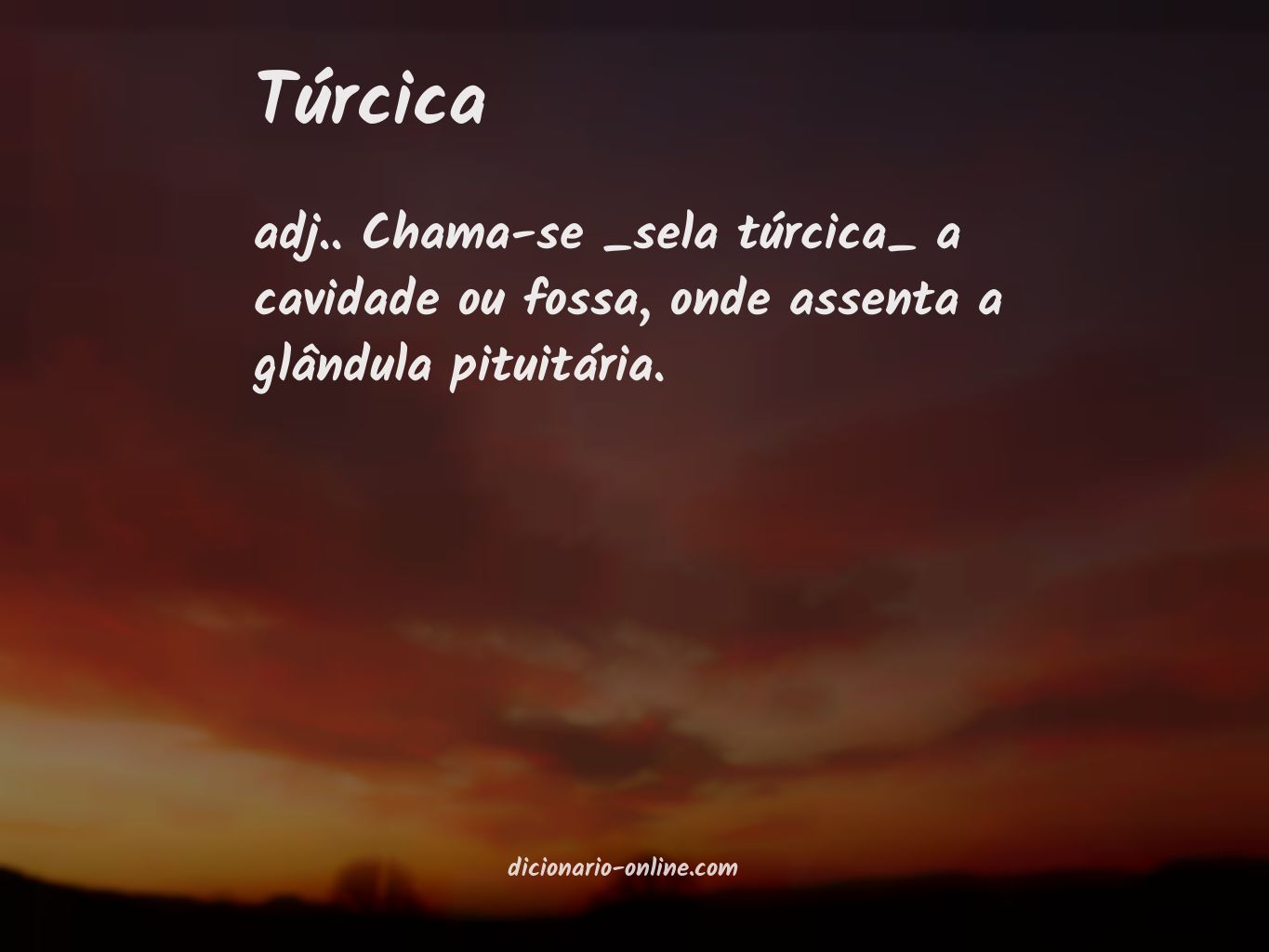 Significado de túrcica