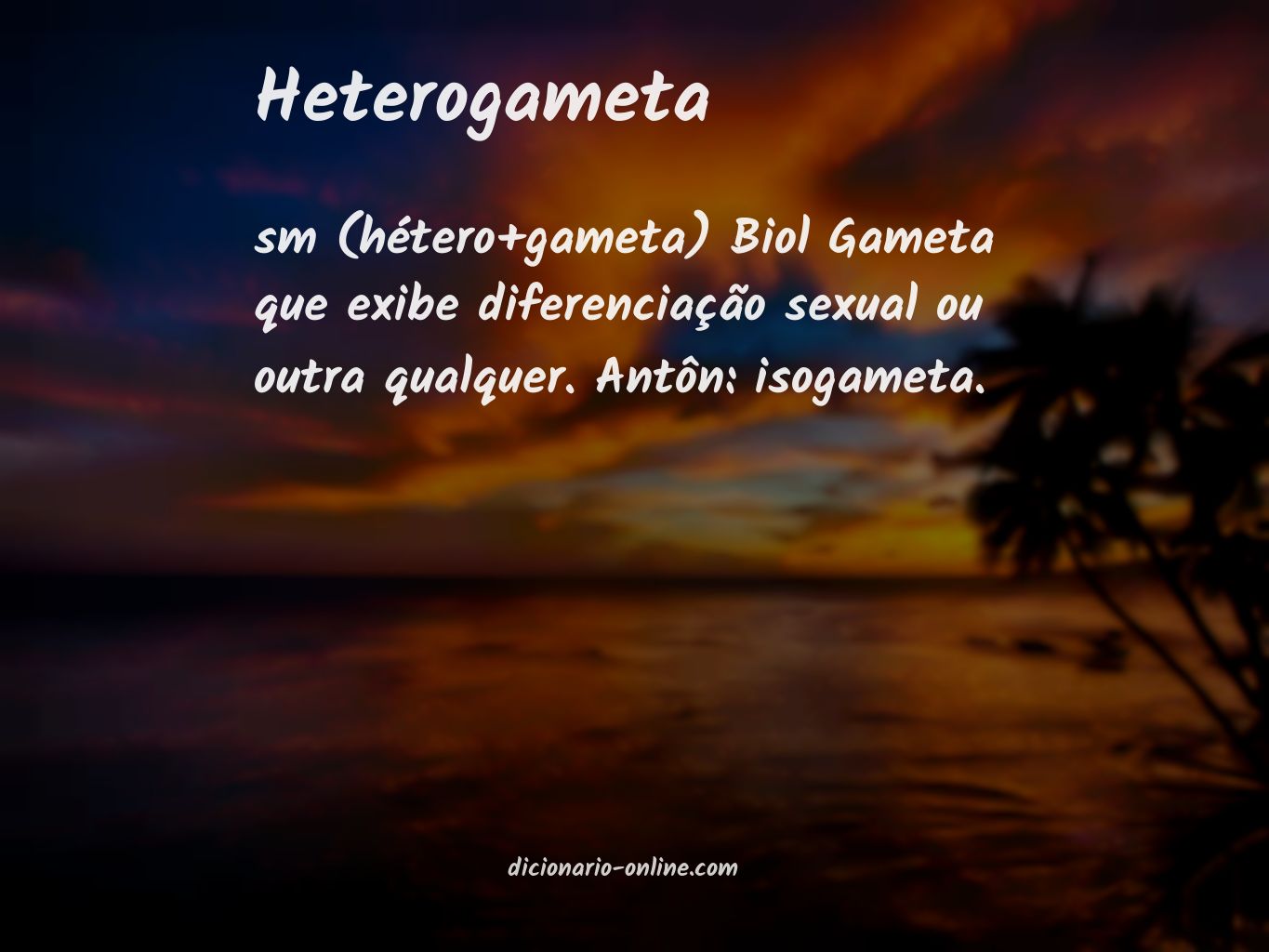 Significado de heterogameta