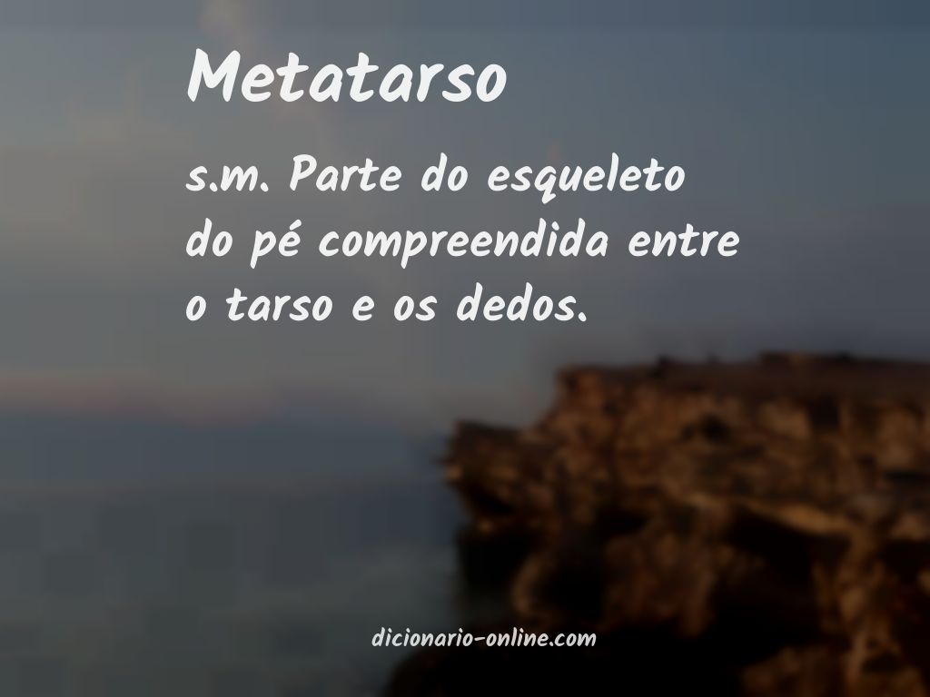 Significado de metatarso