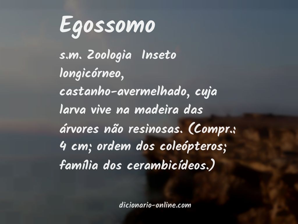 Significado de egossomo