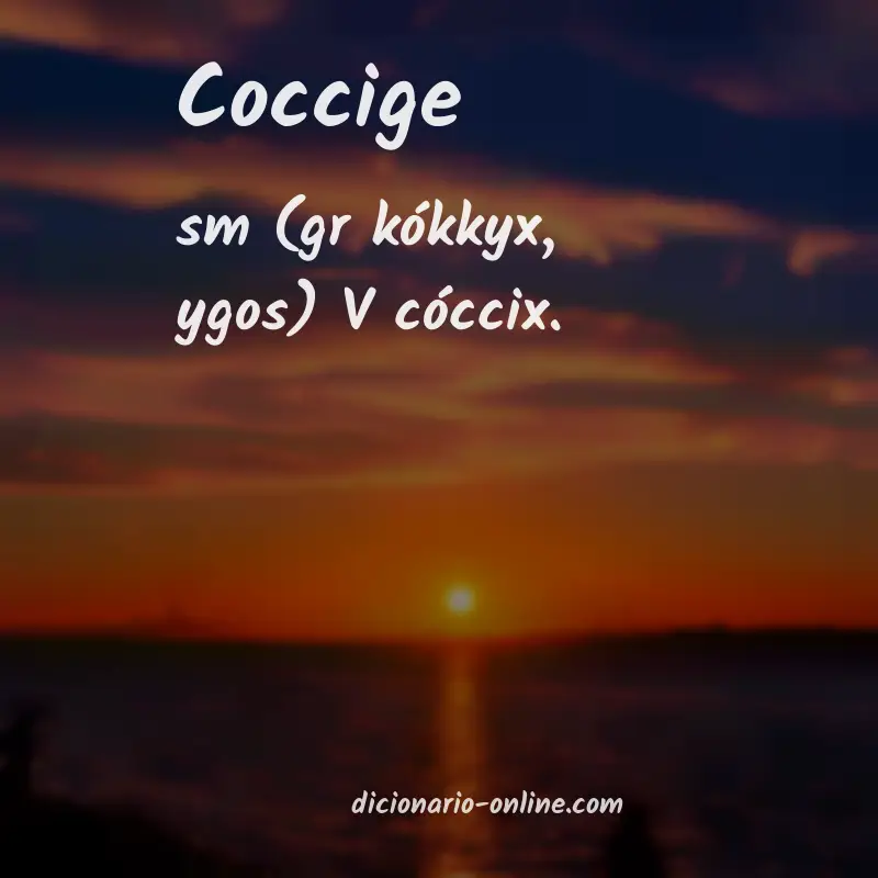 Significado de coccige