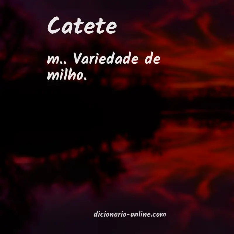 Significado de catete