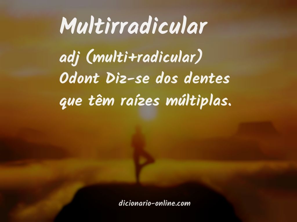 Significado de multirradicular