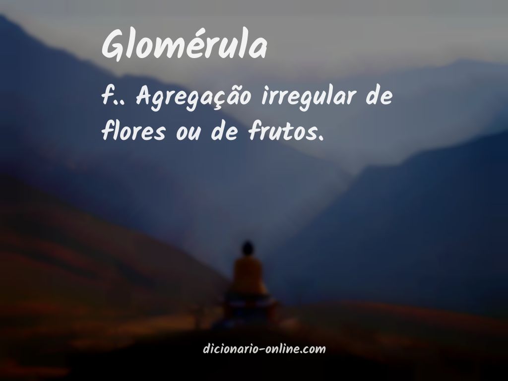 Significado de glomérula