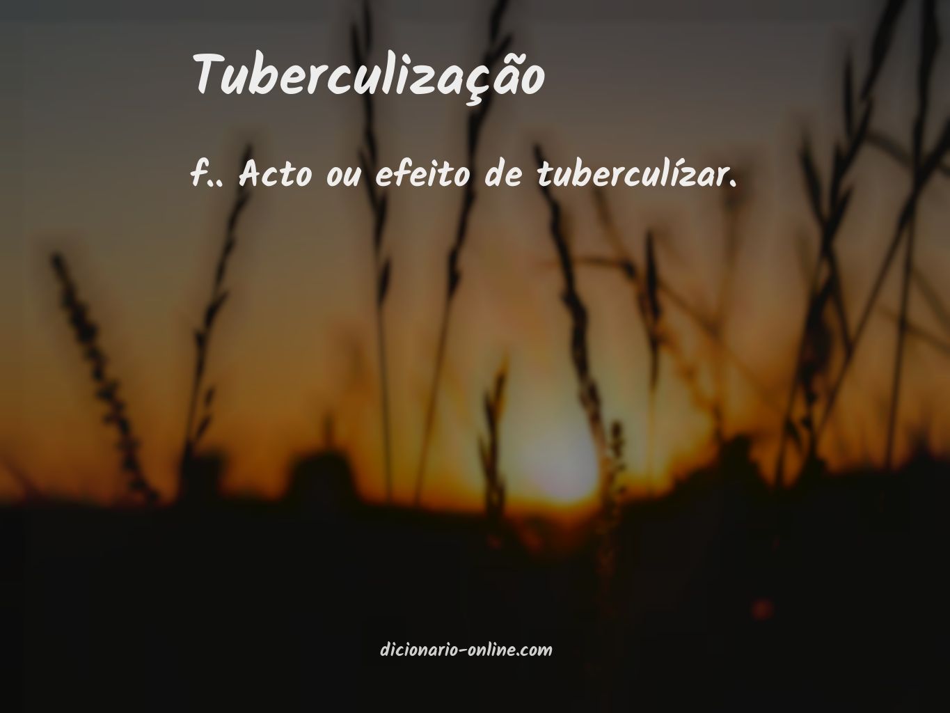 Significado de tuberculização