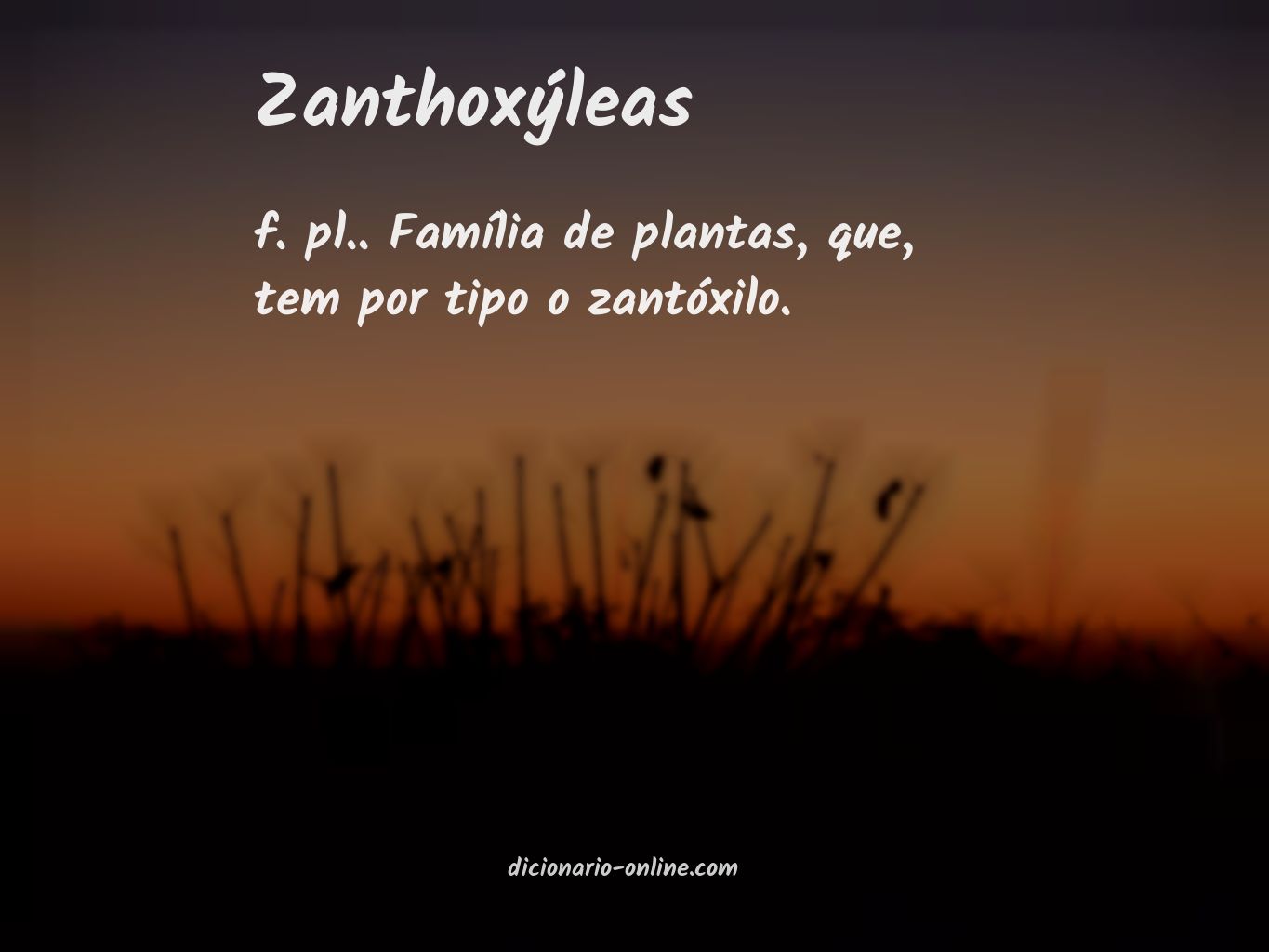 Significado de zanthoxýleas