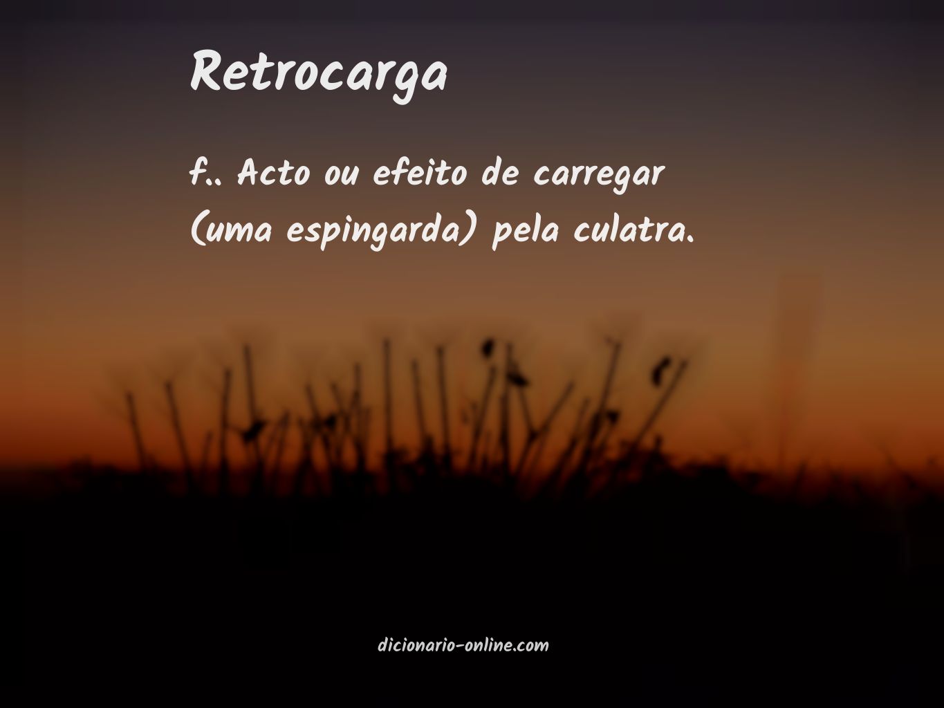 Significado de retrocarga