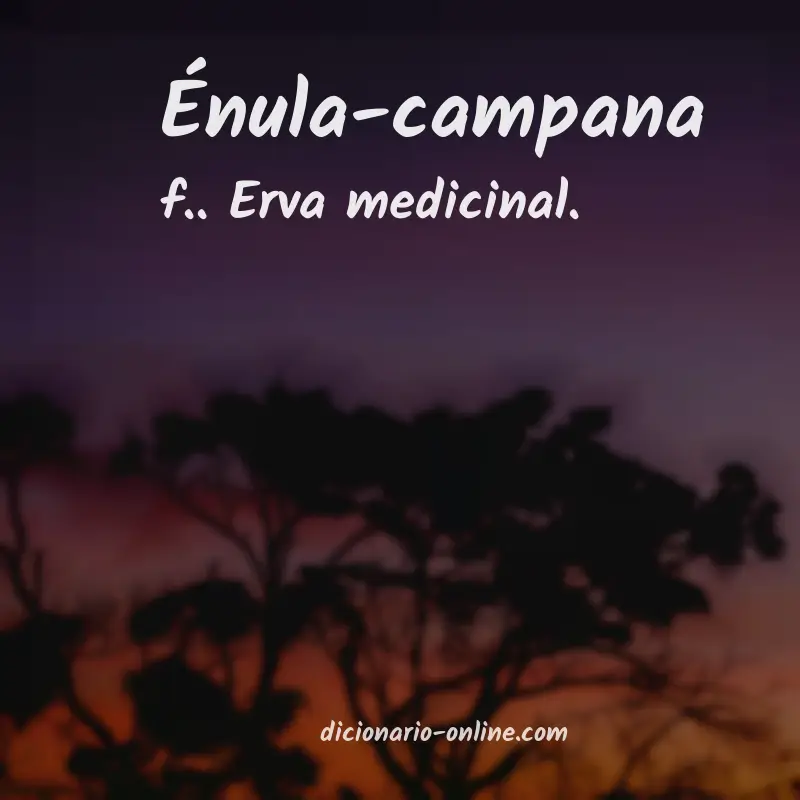 Significado de énula-campana