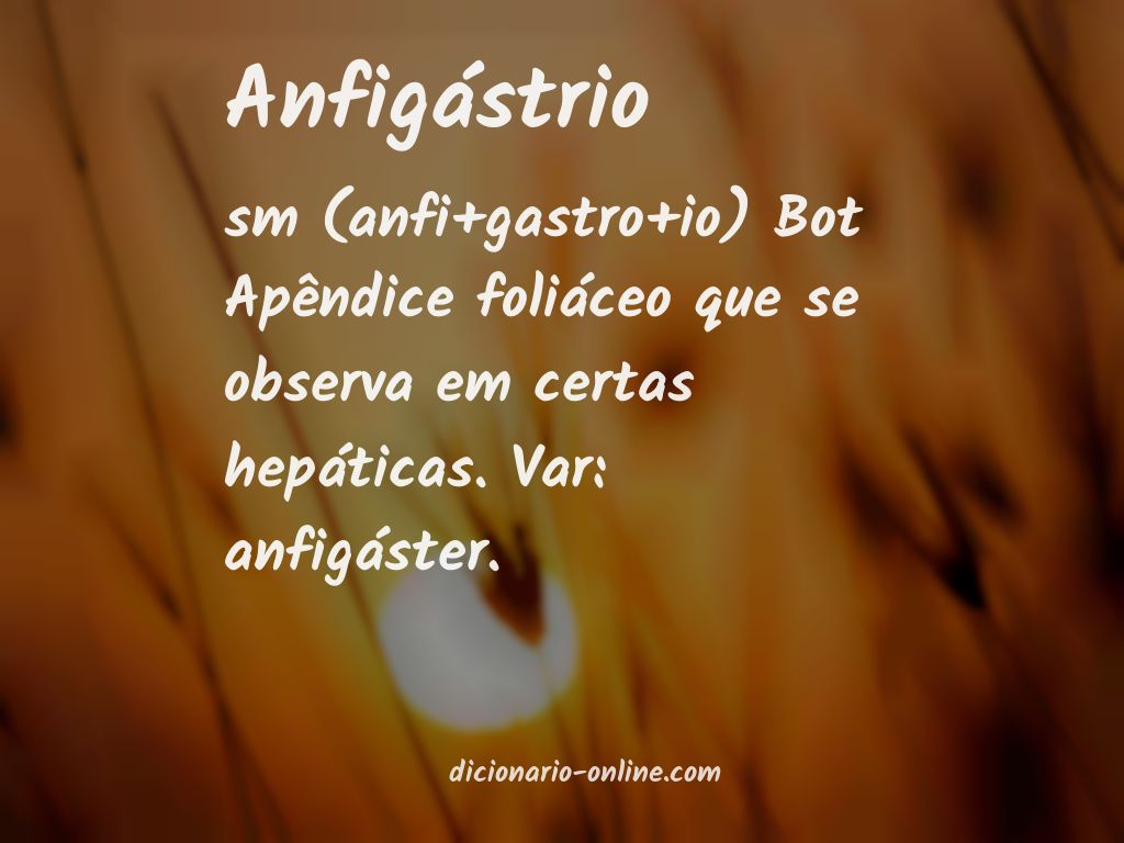 Significado de anfigástrio