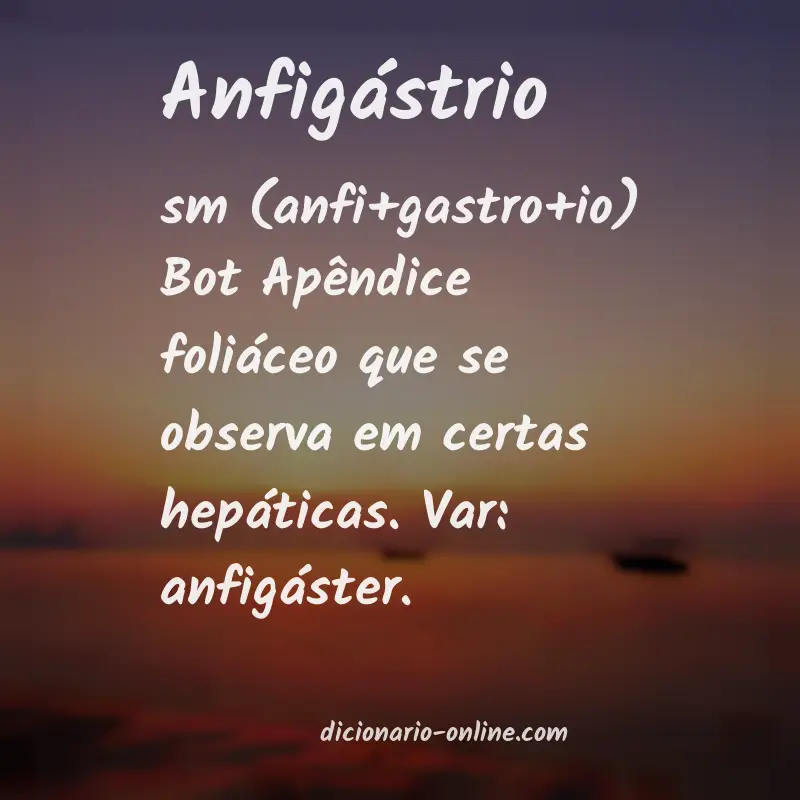 Significado de anfigástrio