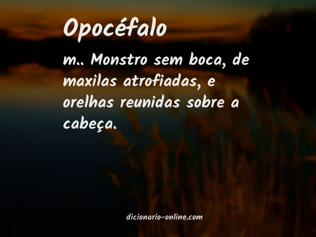 Significado de opocéfalo