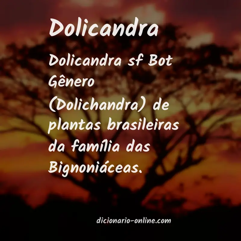 Significado de dolicandra