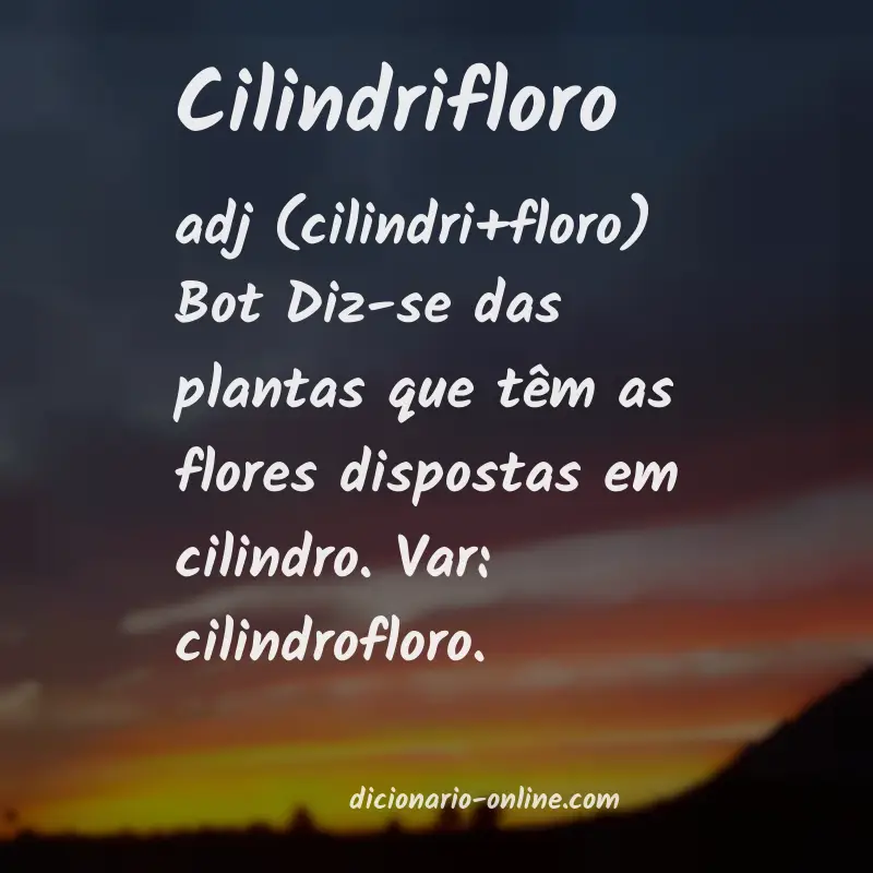 Significado de cilindrifloro